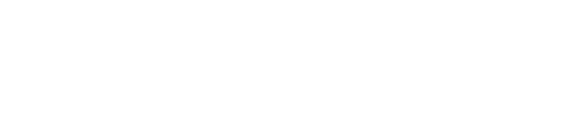 VISION